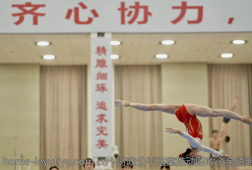 财政公平法案推动财政资金透明公开机制建设
