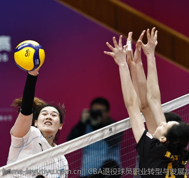 CBA退役球员职业转型与发展状况