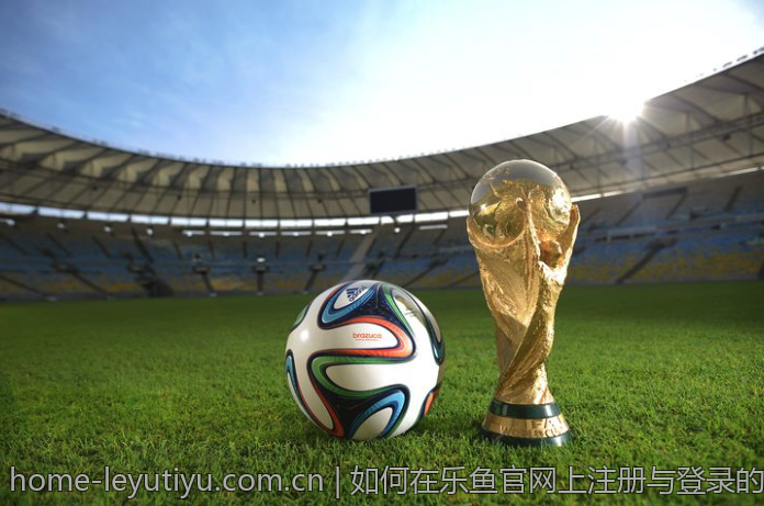 如何在乐鱼官网上注册与登录的指南