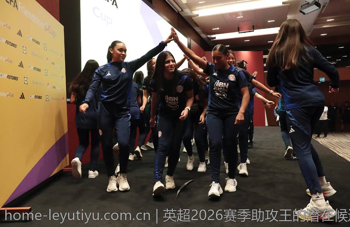 乐鱼leyu用户常见问题解答